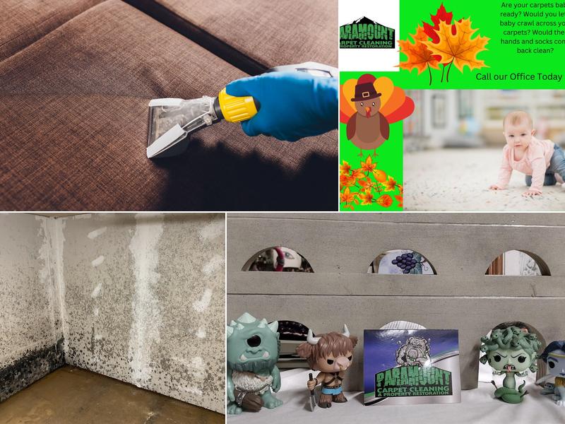 Paramount Property Services LLC