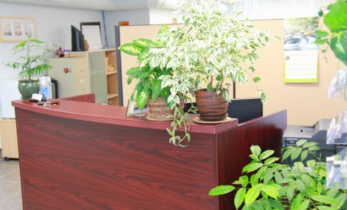 Piligrim Accounting Inc.