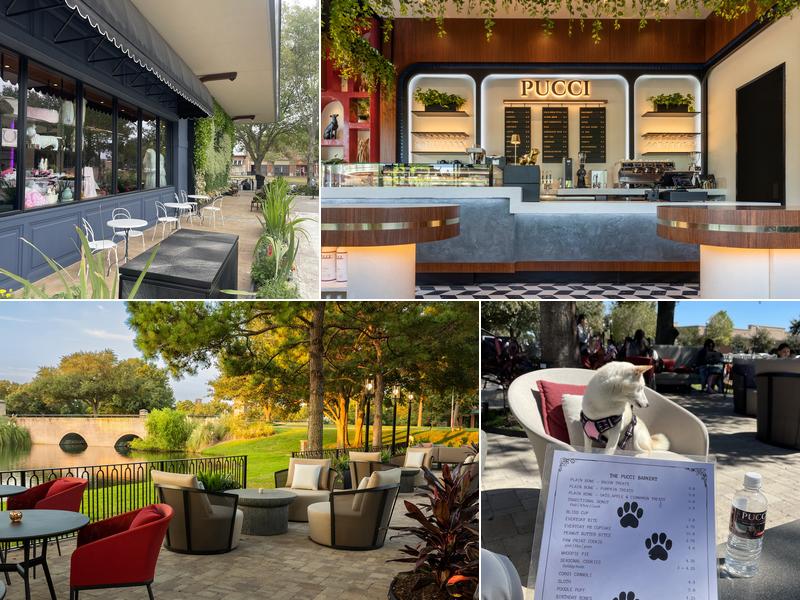 PUCCI Café 23501 Cinco Ranch Blvd Suite N200, Katy