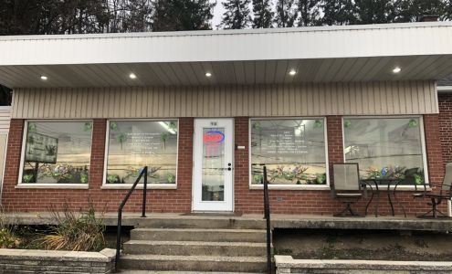 Oisellerie Inseparablement *Vôtre* Sainte-Claire