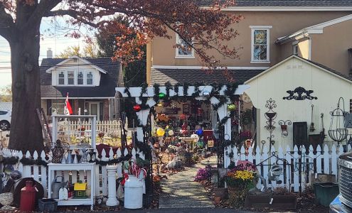 Crazy Lady Collectables