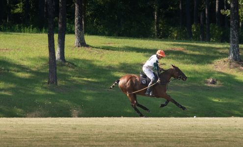 Tiffany Schank - Art And Photography