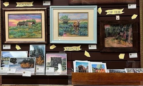 The Arts Nest Gallery