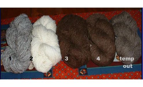 The Wool Shed at Maple Winds Farm Stanley