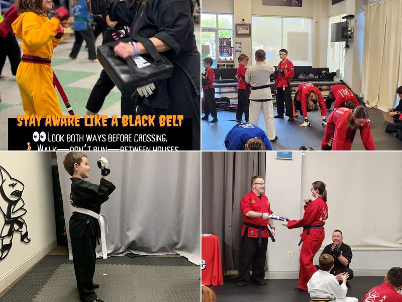 Action Karate Parkwood