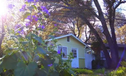 Haven Art Studio Randolph's