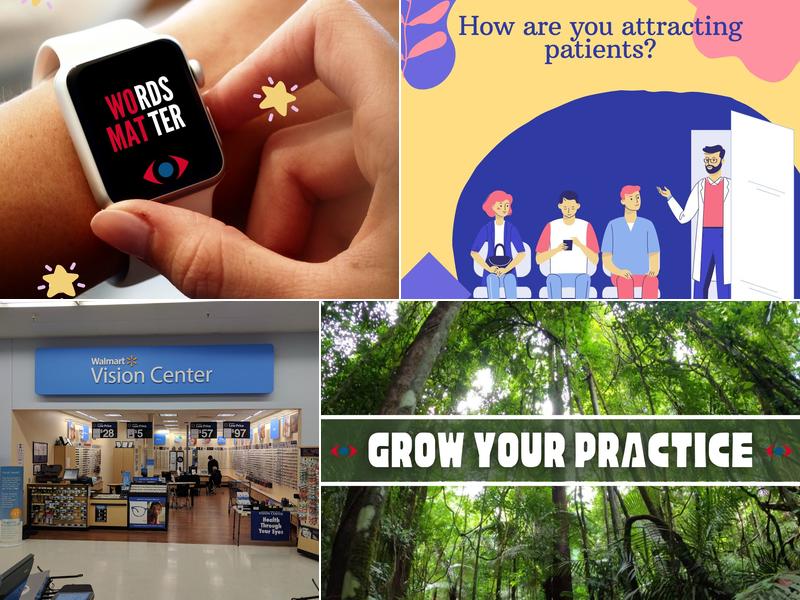 First Sight Vision Services Inc