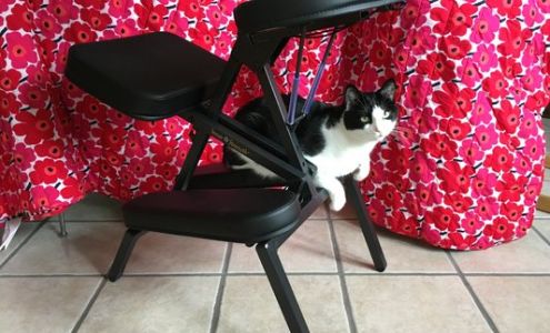 WHITE STONES ART AND HEALING, LLC Roundup