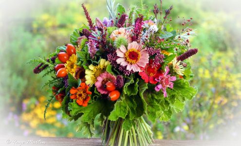 Lady Moon Flowers & Gifts Livermore