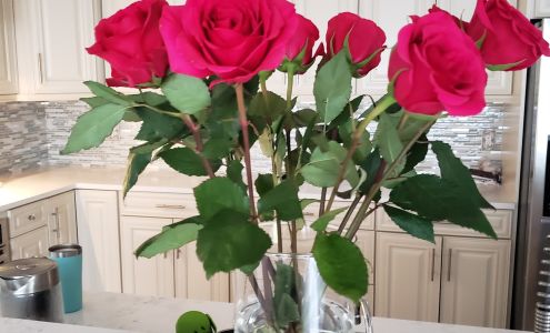 Showcase Cabinetry & Design