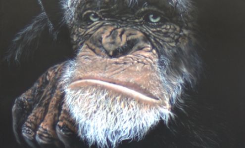 Touch of Art - Jim Pearson