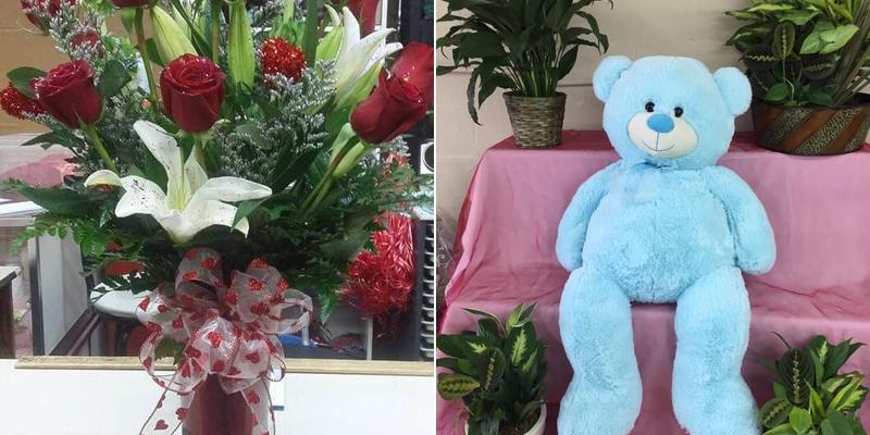 All Occasion Flowers & Gifts