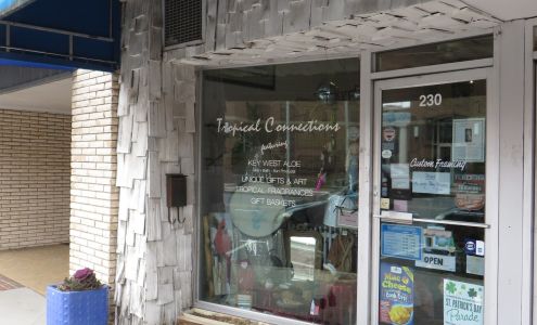 Tropical Connections