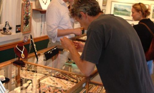 The Wild Iris Haines