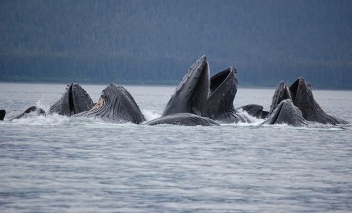 Hoonah Travel Adventures Hoonah