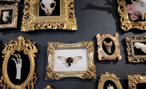 The Old Cavern Boutique