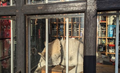 La Boutique du Collectionneur