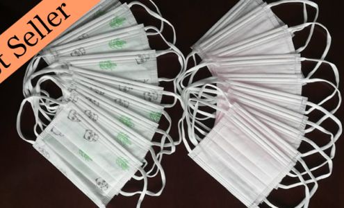 Wildnorth International Inc