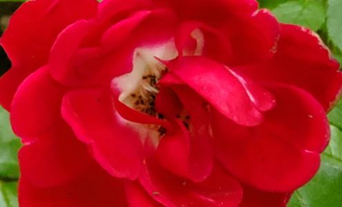 Abbotsford Art Gallery Ltd