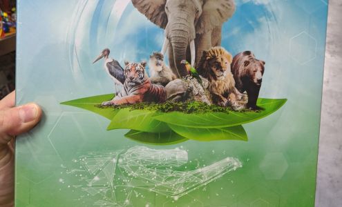 Dragon Cards & Games