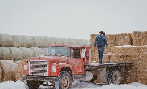 Lammle's Western Wear & Tack