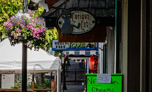 The Curious Cat Gifts on 5th Courtenay, BC