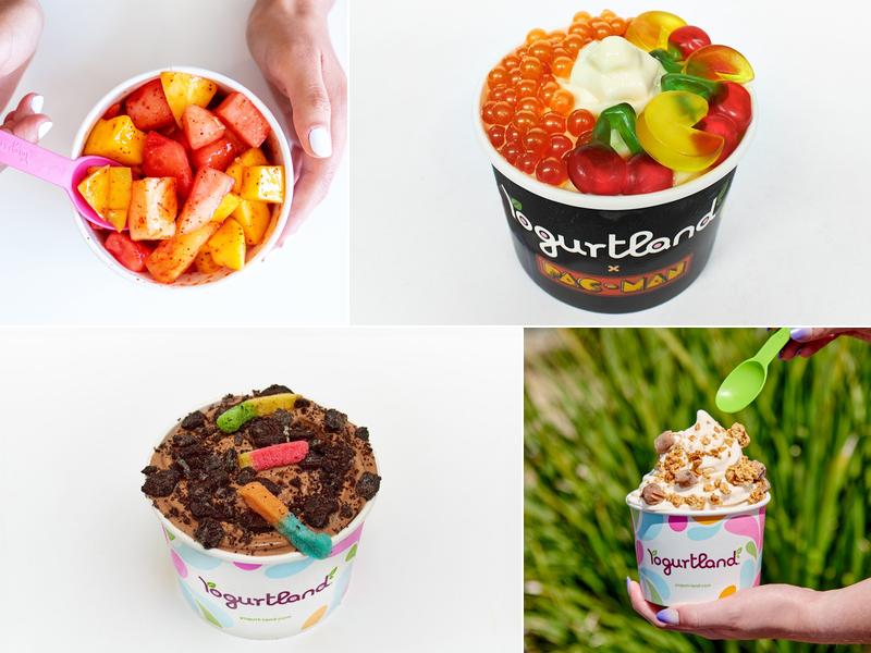 Yogurtland Panorama City