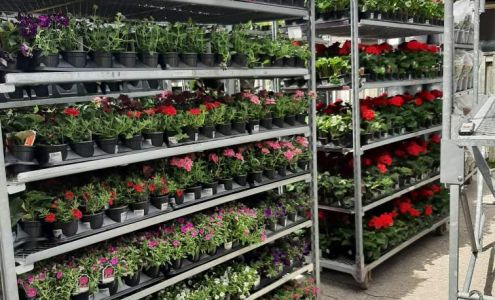 Four Seasons On Wellington & Apsley Outdoors Apsley