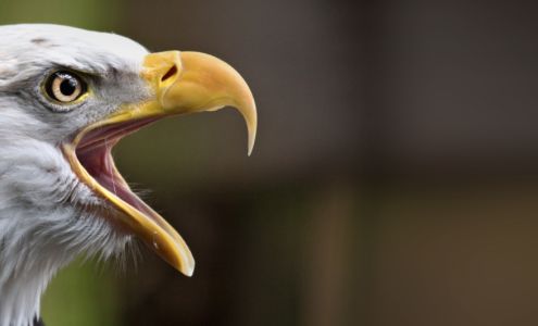 North Island Wildlife Recovery Centre Errington