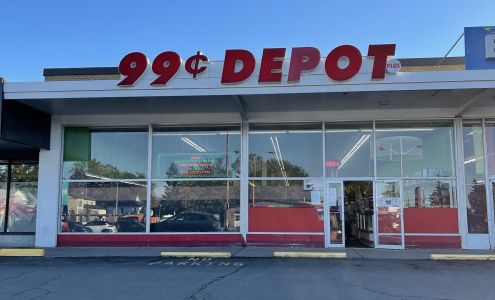 99 cent Depot(my unique Dollar Store) And More Niagara Falls