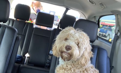 Yazz Cleaners & Quick Stitch