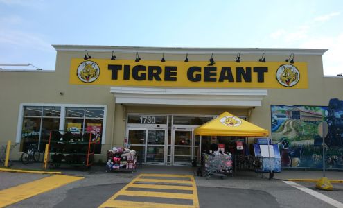 Tigre Géant Magog