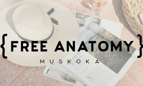 Free Anatomy Port Carling