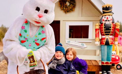 Copeman Tree Farms Sundridge