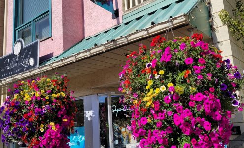 Fallen Leaf Art Gallery