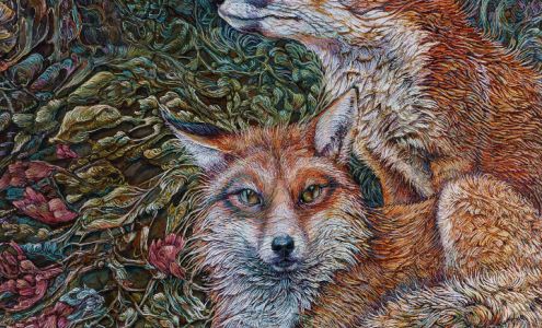 Col Mitchell Artist Studio & Boutique