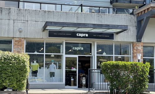 Capra Running Garibaldi Highlands