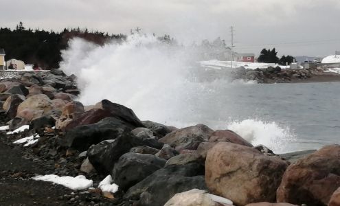 LeDrew Lumber Co Ltd 737 Conception Bay Hwy, Conception Bay South Newfoundland and Labrador A1X 3C6