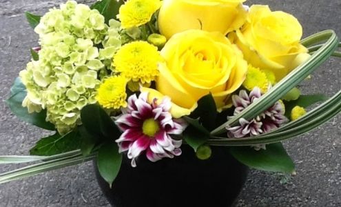 The Grapevine Floral Design & Home Decor 9 Shoal Harbour Dr, Clarenville Newfoundland and Labrador A5A 2C3