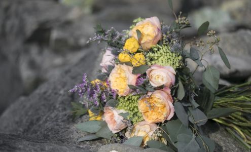 Family Heirblooms New Waterford