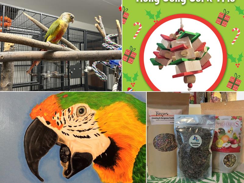 The Parrot Hotel - Bird Boarding (By Appointment Only)