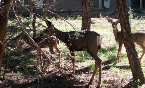 Grand Canyon Community Recreation Center Grand Canyon Village