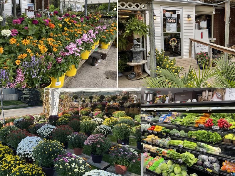 Shelburne Fresh Variety