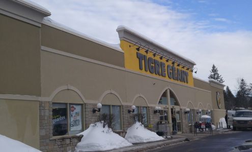 Tigre Géant Wakefield