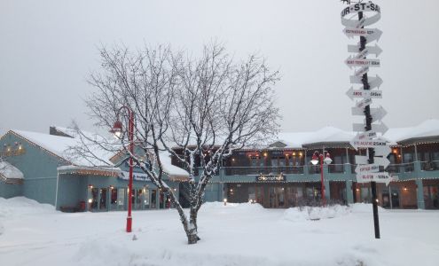 Chlorophylle Outlet St-Sauveur