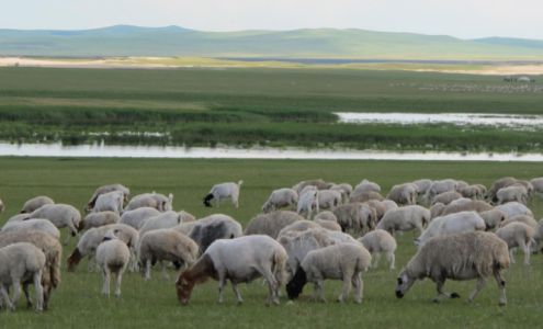 Australian Sheepskin Apparel