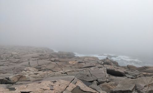 Neil Depew Gallery Peggys Cove