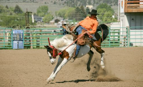 Ruthies in His Image photography 380 N Broadway Ave, Burns Oregon 97720