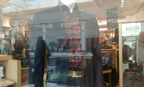 Vincent d’Amérique