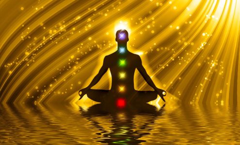 Live It Love It Wellness